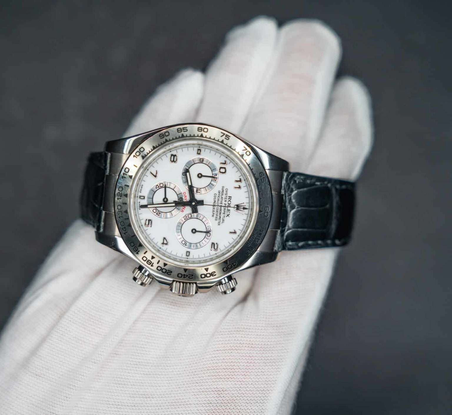 Rolex Oro Blanco (5)